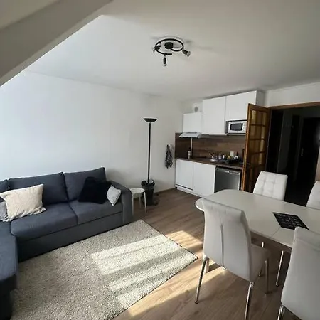 Apartment Chaleureux *